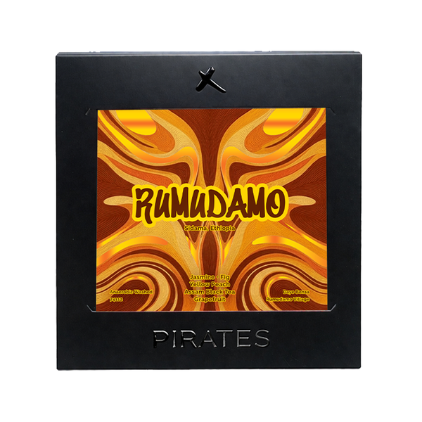 RUMUDAMO ANAEROBIC WASHED: Sidama Ethiopia