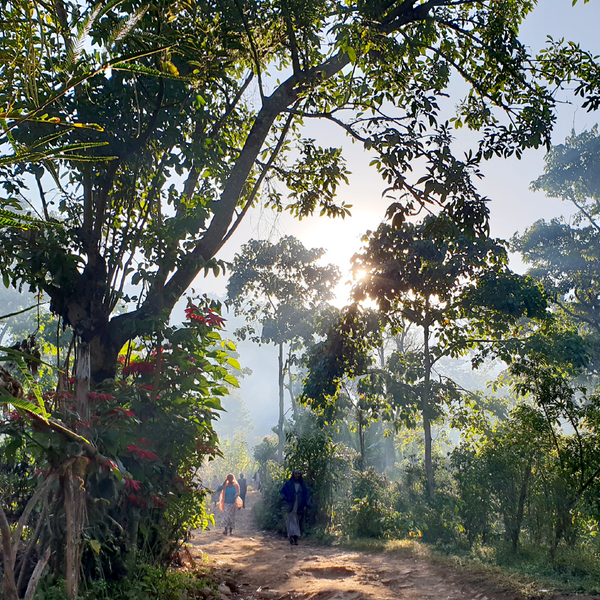 Roseline Coffee - Ethiopia Reko