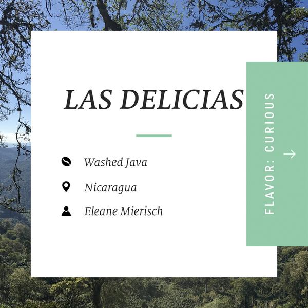 Drop Coffees - Las Delicias Washed Java, Nicaragua