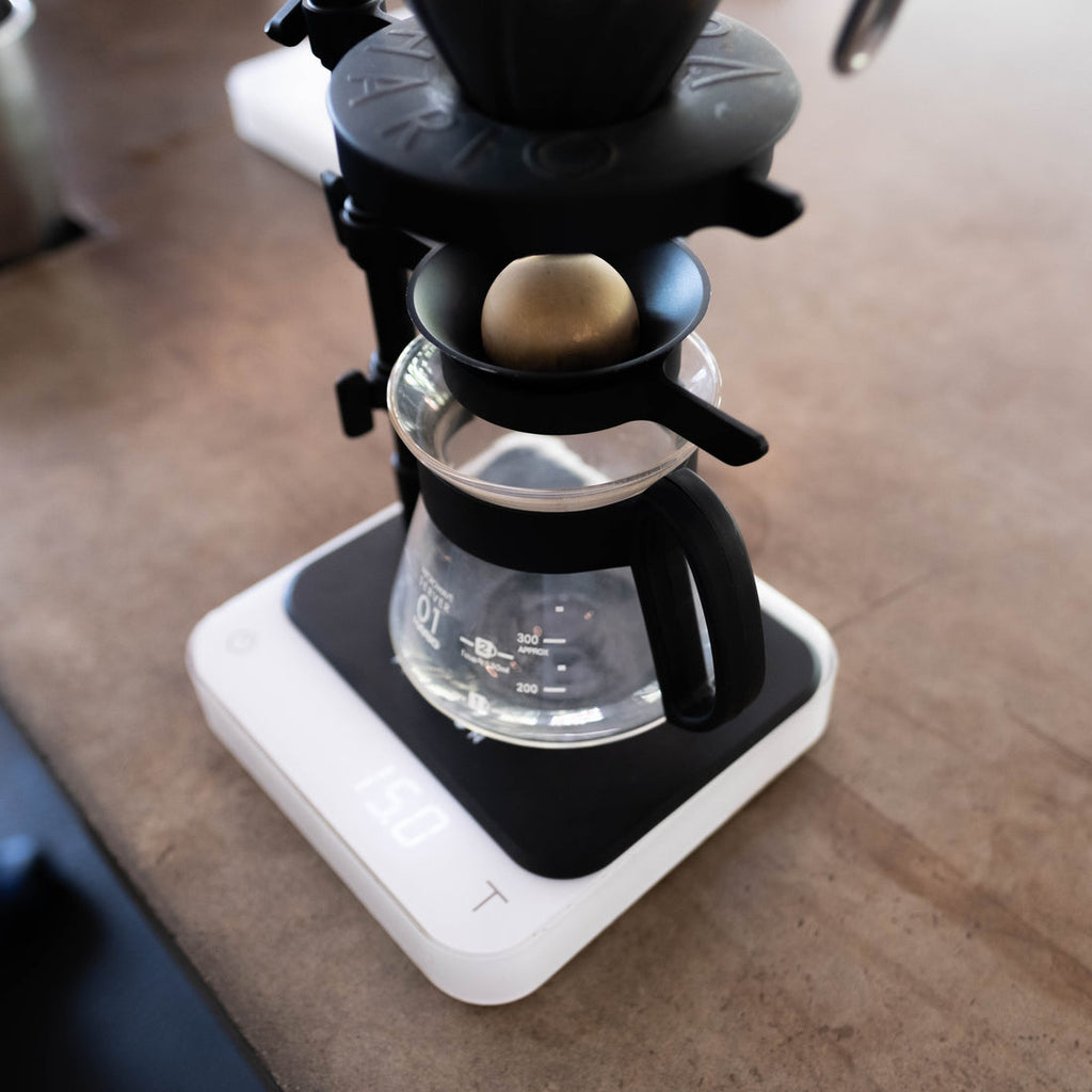 Nucleus Paragon Pour-Over Coffee Espresso Brewer and Chilling Rocks –  Theory Coffee Roasters
