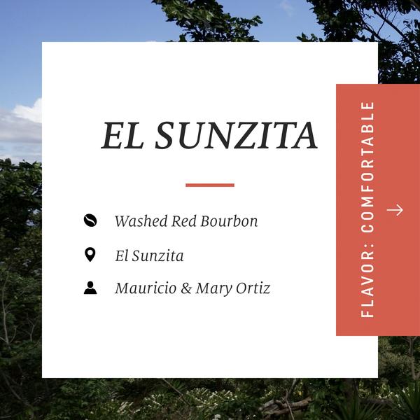 Drop Coffees - El Sunzita Red Bourbon, El Salvador