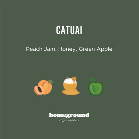 Homeground Coffee - Finca Santa Teresa, Panama Honey (Filter)