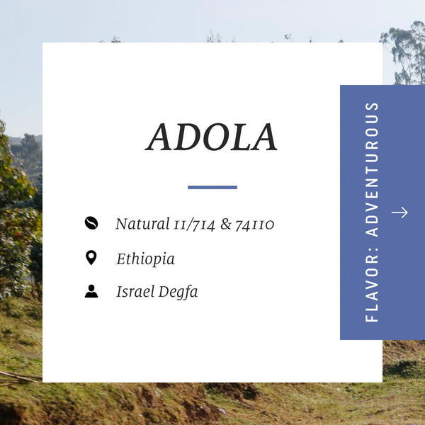 Drop Coffees - Adola Natural, Ethiopia