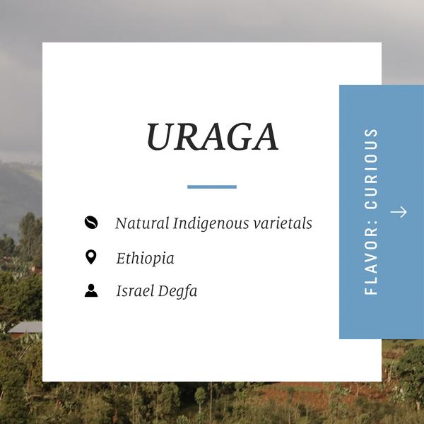 Drop Coffees - Uraga Natural, Ethiopia