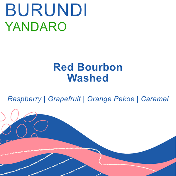 Rogue Wave Coffee - Burundi, Yandaro, Washed