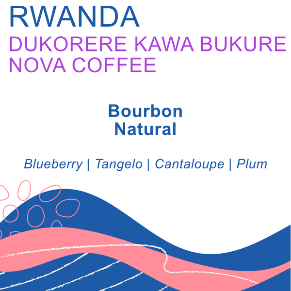Rogue Wave Coffee - Rwanda, Dukorere Kawa Bukure, Natural