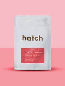 Hatch Coffee - [Rare Filter] El Paraiso Strawberry