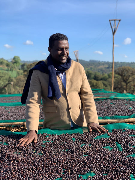 Drop Coffees - Anasora Natural, Ethiopia