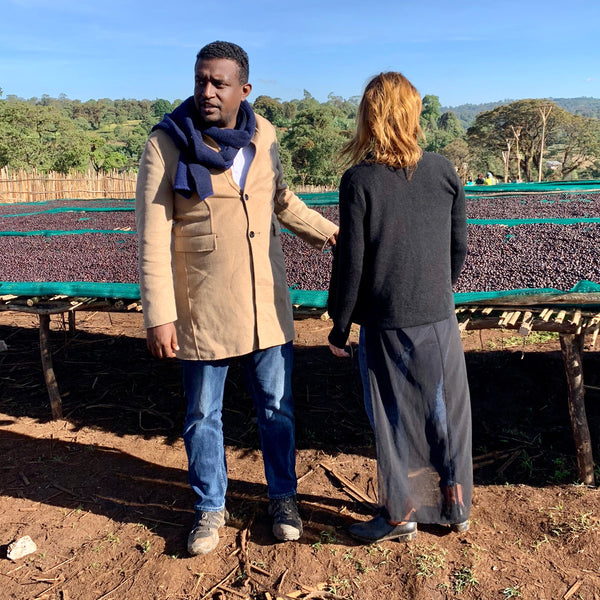 Drop Coffees - Anasora Natural, Ethiopia