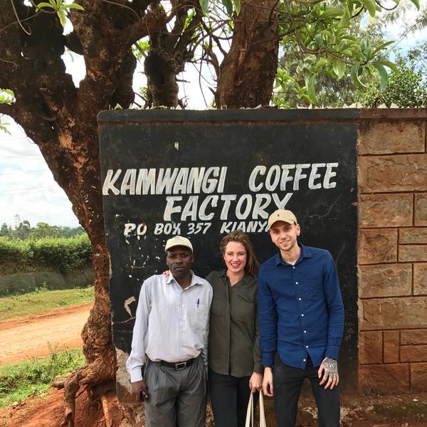 Drop Coffees - Kamwangi AA, Kenya