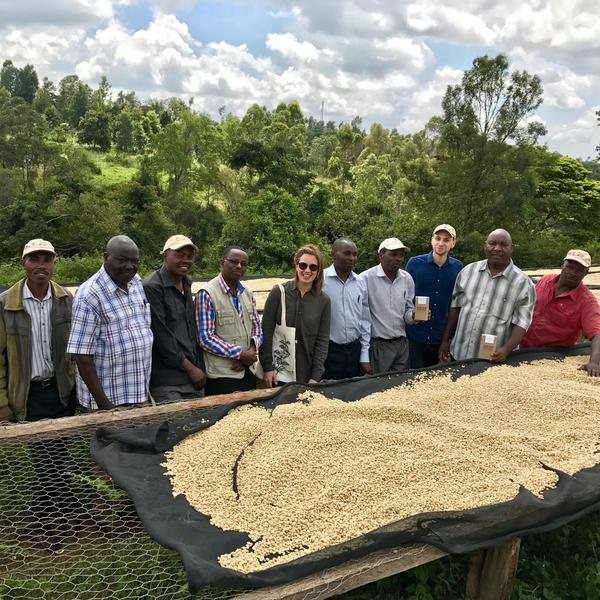 Drop Coffees - Kamwangi AA, Kenya